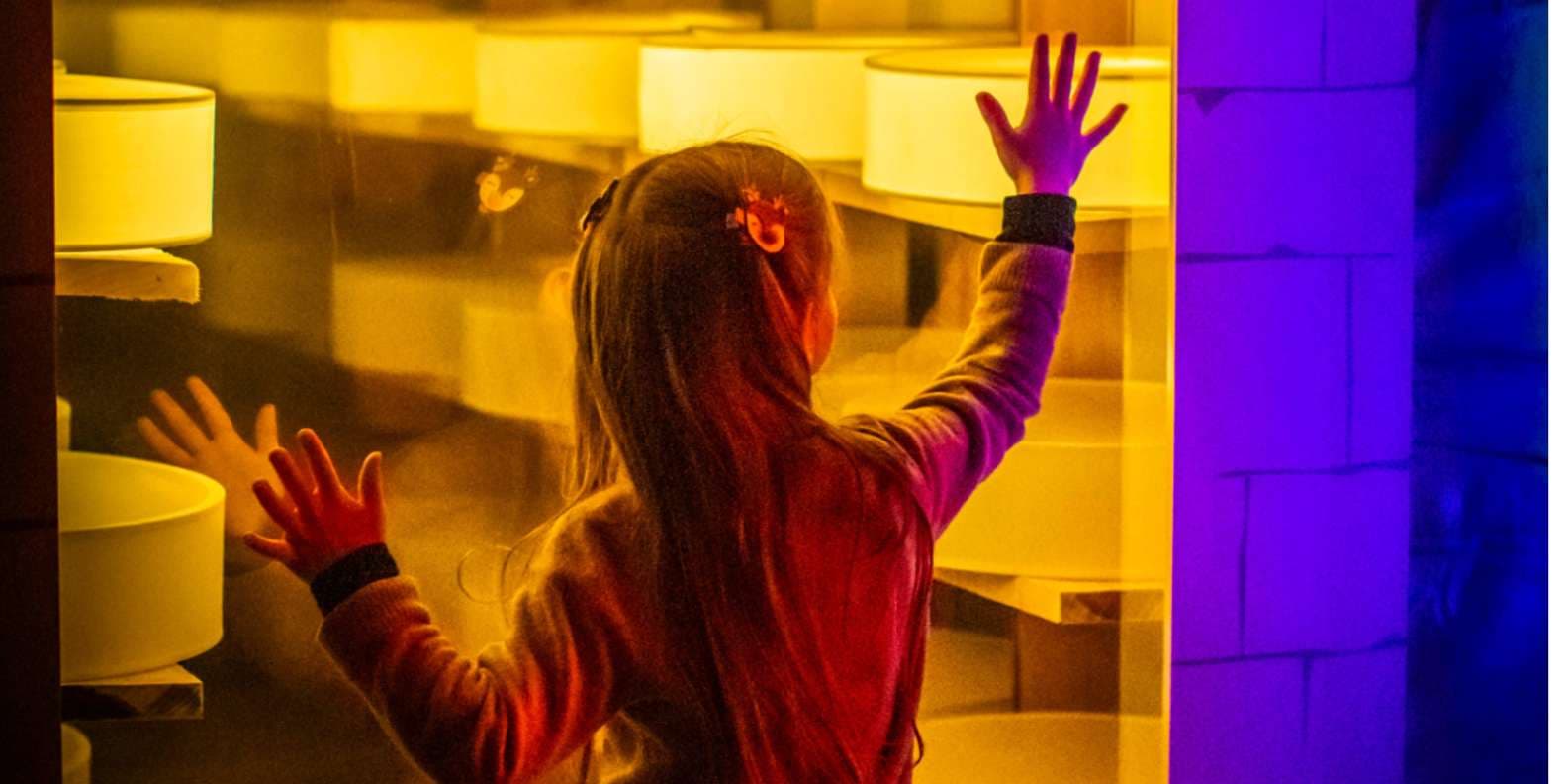 Cheese Experience Paris - Dégustation immersive de fromages